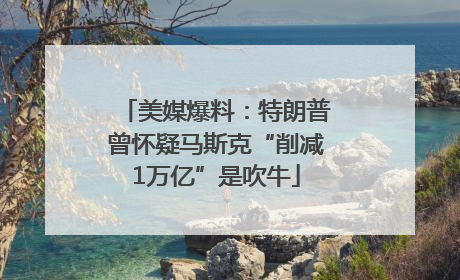 美媒爆料：特朗普曾怀疑马斯克“削减1万亿”是吹牛